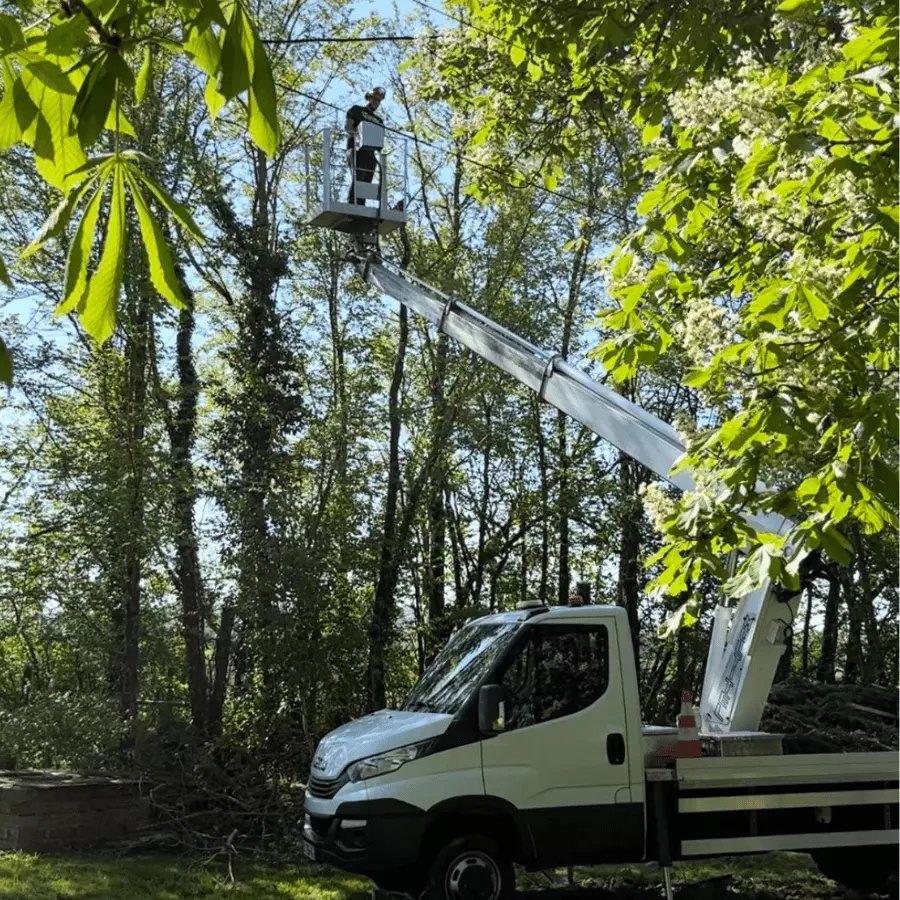Élagage et abattage avec nacelle